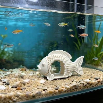 Vissen en zeedieren – Aquarium decoratie