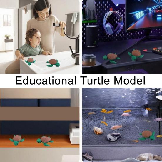3D-gedruckte Schildkrötenverzierung, winzige Schildkrötenfigur mit beweglichen Gelenken, süßes Mini-Schildkröten-Fidget-Spielzeug für Kinder und Erwachsene, Stressabbau, Schreibtischzubehör