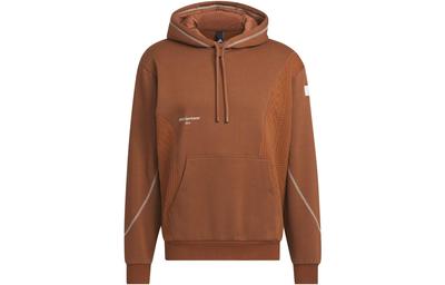 Lounge Sweatshirts Men's Brown Hooded Moderate Regular IQ1365