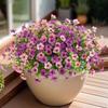 Fall Decor Eucalyptus Flower Bouquet DIY Floral Simulated Violet Bouquet  Valentine's Day Gift