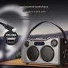Malone Portable Bluetooth KTV Speaker Amplifier CN plug (adapter included)