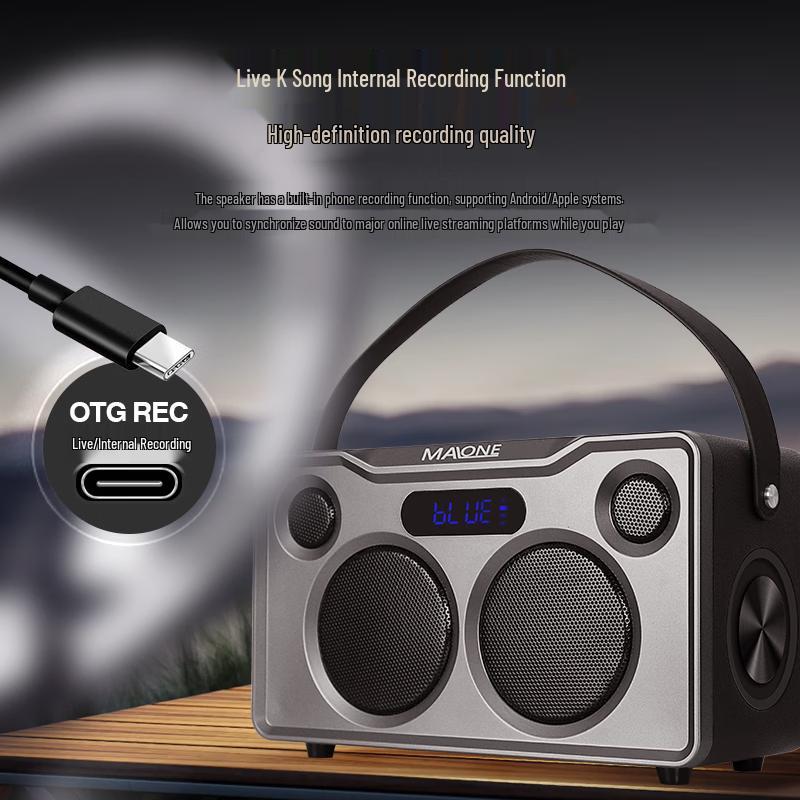 Malone Portable Bluetooth KTV Speaker Amplifier CN plug (adapter included)