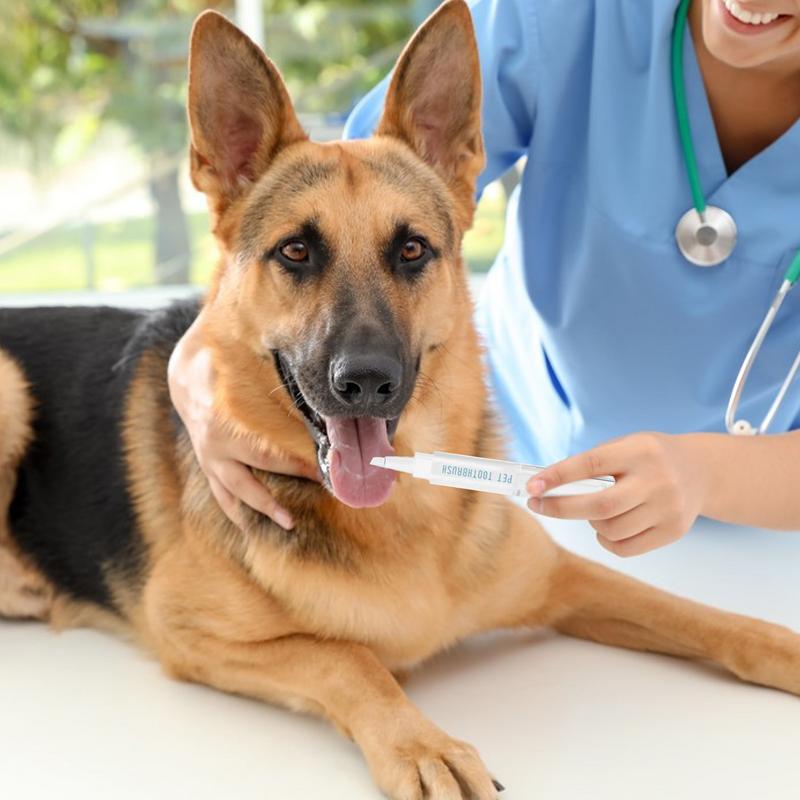 Pet Teeth Cleaning Pet Teeth Repairing For Teeth Cleaning Pet Toothbrush Pen Odorless Cat Teeth Cleaner Tool For Puppy Kitten
