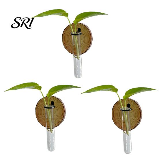 Easy Install Vase Rack 3 Pcs Wall-Mounted Plant Terrarium Propagation Station Clear Cylinder Hanging Test Tube Wall-mounted Planter Indoor Decorative 3pcs