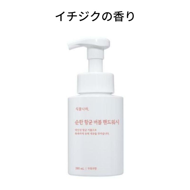 Sikmulnara Mild Antibacterial Bubble Hand Wash Fig Scent 250ml