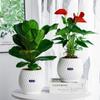 Abnehmbarer Blumentopf Kunststoff Büro Bonsai Deko Mode Hydrokultur Pflanzen Topf