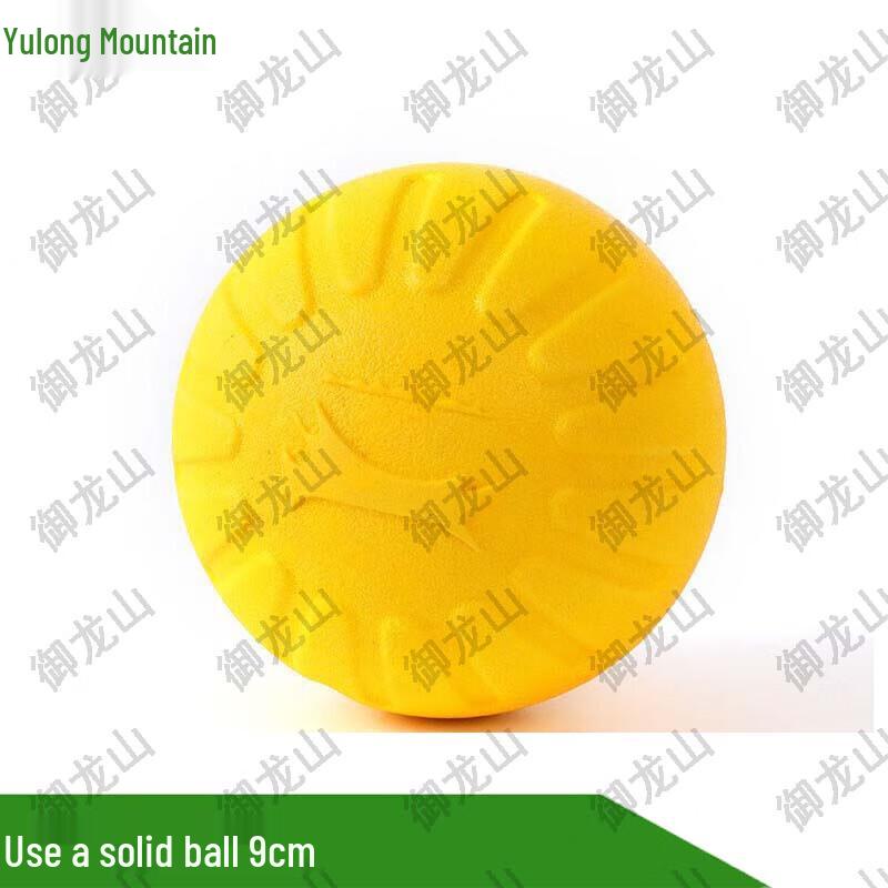 Durable EVA Dog Training Ball with Pull Handle