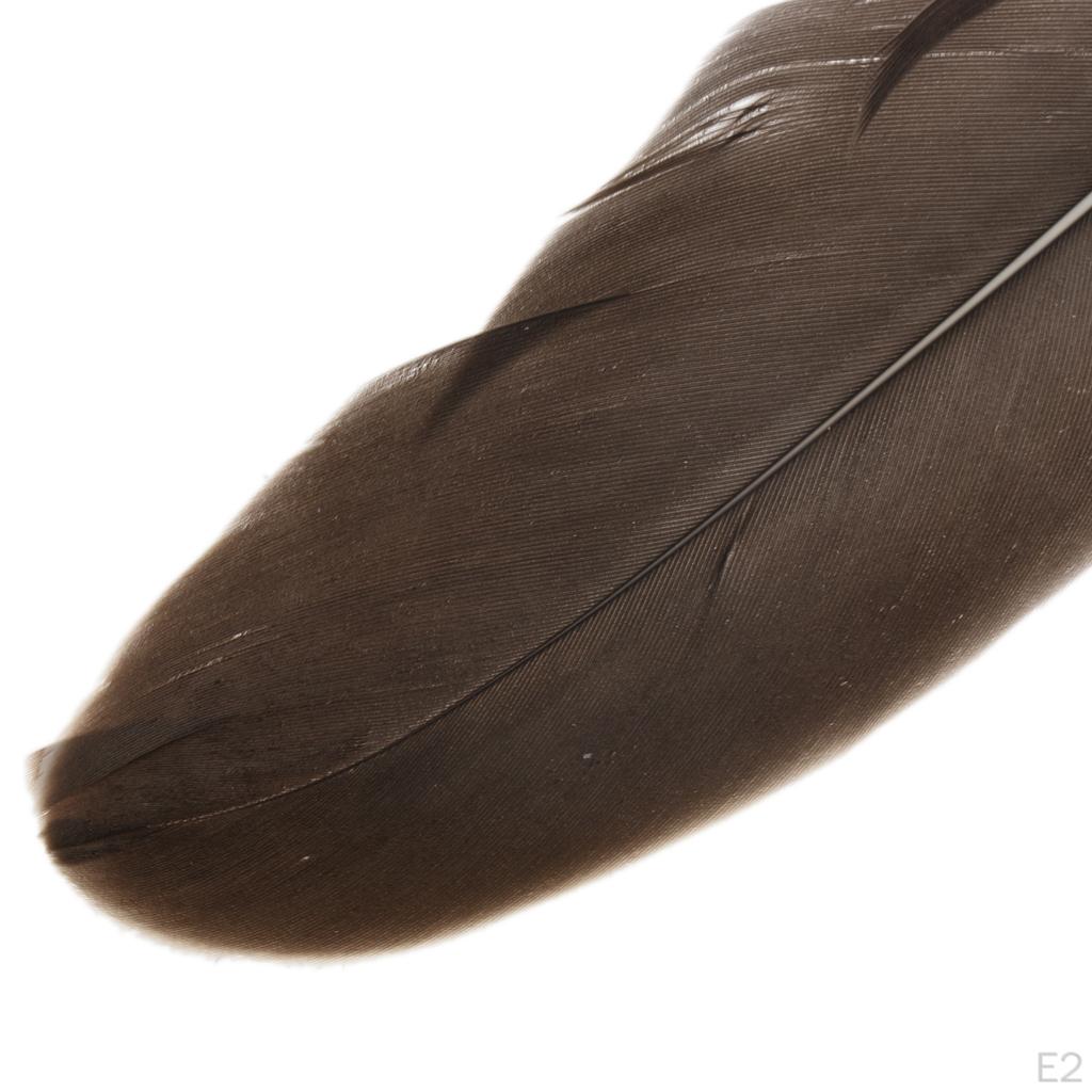 Federn 0,6 Zoll Bastelbedarf für Hochzeitsfeier Dekoration Packung mit 50 Stück