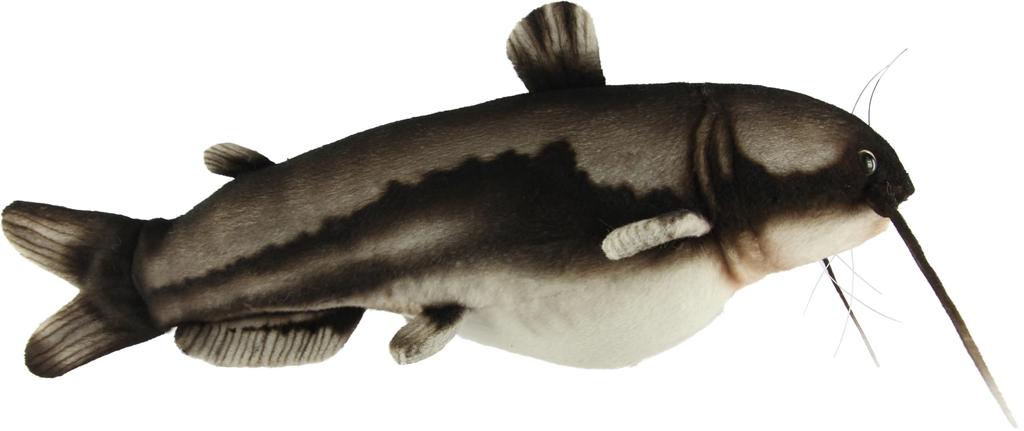 BH8582 HANSA Catfish 37
