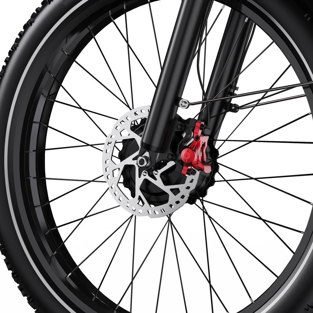 Elektrofahrrad Duotts F26, Doppelmotor 750W, 48V 20AH Akku, Höchstgeschwindigkeit 55 km/h, Reichweite 120 km, 26x4,0 Zoll Reifen