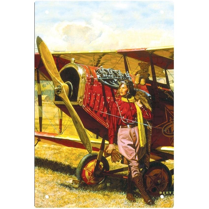 Airplane Fighter Vintage Metal Signs American Style Aircraft Wall Sticker Painting Poster Pub Bar Room Decor