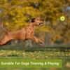 12 Pcs Squeaky Tennis Balls for Dogs - 2.58" Interactive Doggy Toys - Mini Safe, Durable for Small Medium Large Dogs Training Playing, with 1