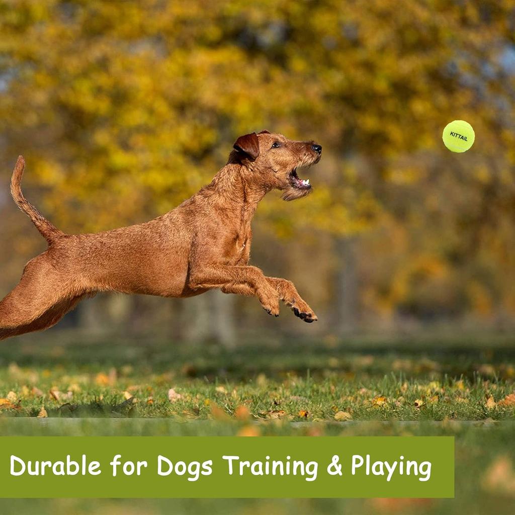 12 Pcs Squeaky Tennis Balls for Dogs - 2.58" Interactive Doggy Toys - Mini Safe, Durable for Small Medium Large Dogs Training Playing, with 1