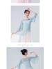 Women's Flying Sleeve Mesh Dance Top: Chinese Dance Costume
