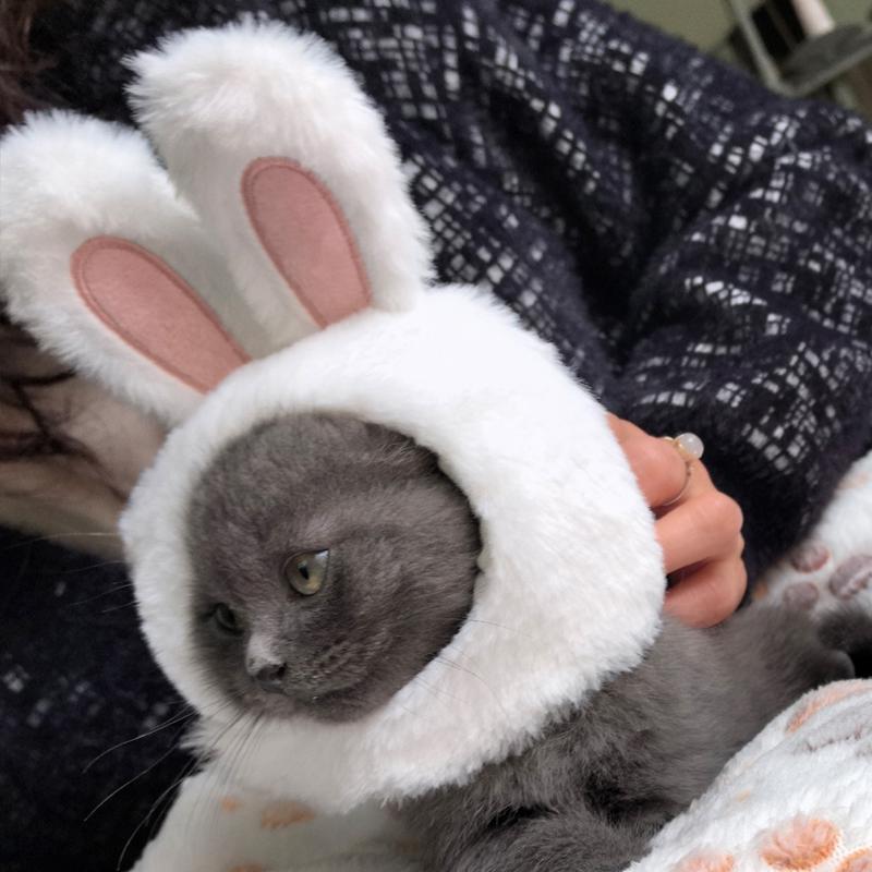

Pet Rabbit Ear Plush Hat Easter-Themed Bunny Ear Headband Funny Headdress for Cats Dogs Pets Photography Supplies Accessories HC 28-32CM белый