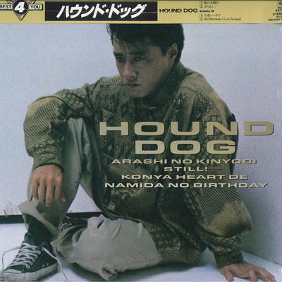 Koníčky a kreativita – Hudba