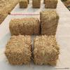 Square Round Hay Bale: Farmhouse Straw Decoration and Photo Prop