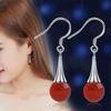 Korean Style Agate Black Water Drop Earrings – New Retro Fashion Accessories