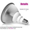 2/24/54W Health Care 1LED Light Infrared Therapy Bulbs Pain Relief Massage Back Shoulder Body Heating Lamp Bulbs
