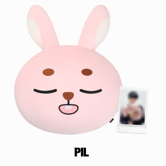 Pre-order DAY6 10th Anniversary Tour Finale In SEOUL The DECADE DENIMALZ Face Cushion