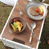 Titanium Camping Plate