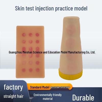 Intradermal Injection Arm Model for Vein Puncture and Subcutaneous Test Training.