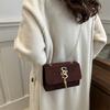 Simple Casual Small Square Bag 2025 Winter Retro Niche Fashion Messenger Bag Women's New Personality Trend Shoulder Bag