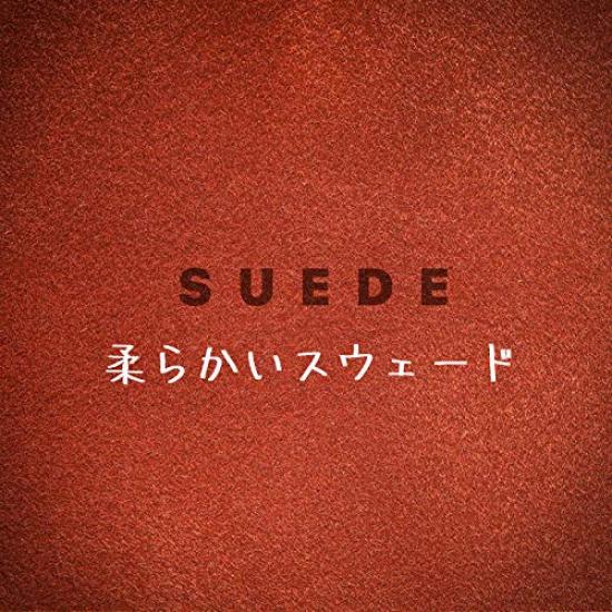 KMMOTORS Suede Gap Cushion of (Set 2) (Beige)