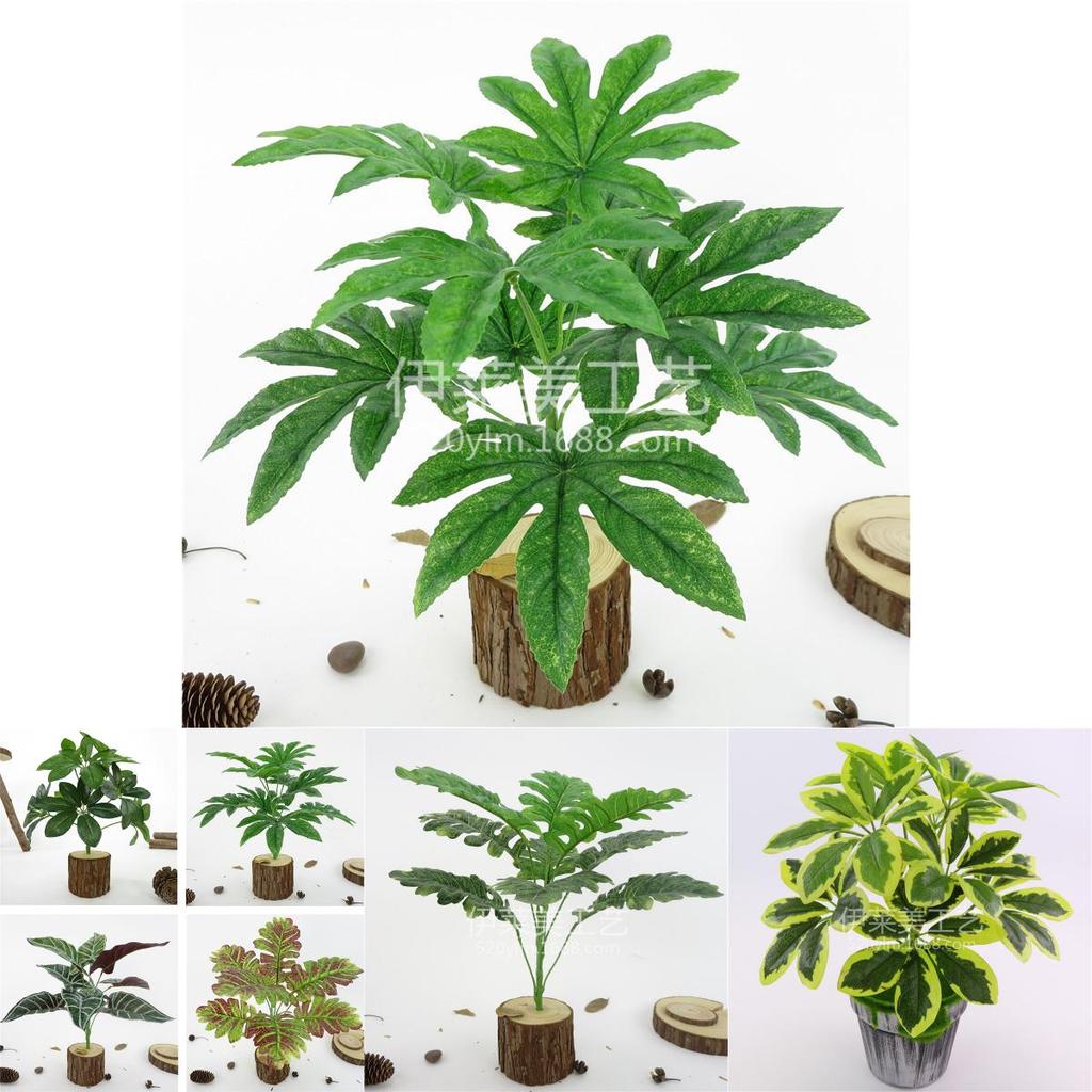 Fake Plant Wall Decoration With Varied Leaf Types For Interior Design And Creative Photography