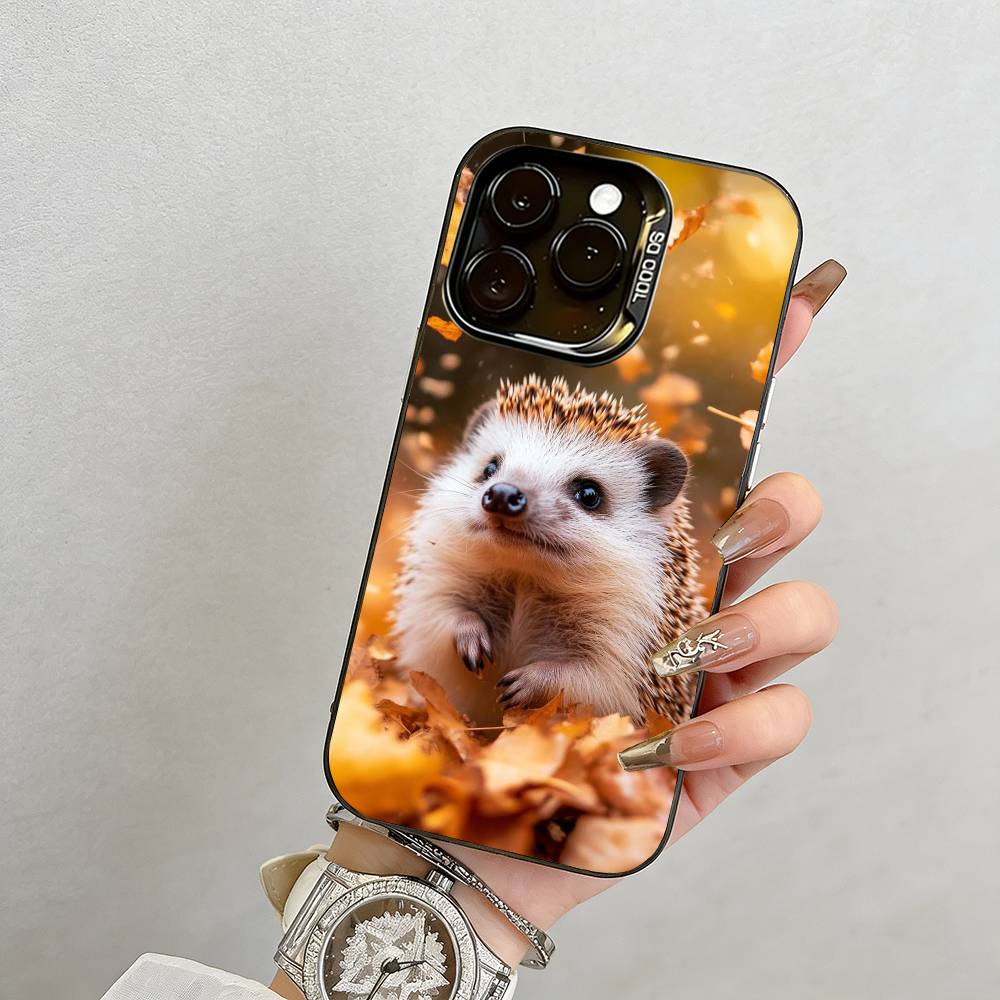 

Cute hedgehog Phone Case For iPhone 17,16,15,14,13,12,11 Plus,Pro Max,XS,Colorful Silver Black Cover iPhone13