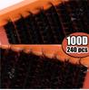 European & American Style D Curl Cluster False Eyelash Kit for Daily DIY Extensions