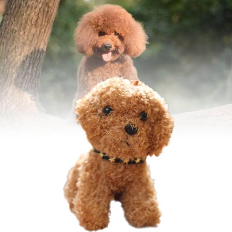 Mignon Porte-clés Peluche Chien Teddy Pour Sacs Et Clés Animal en Peluche Doux