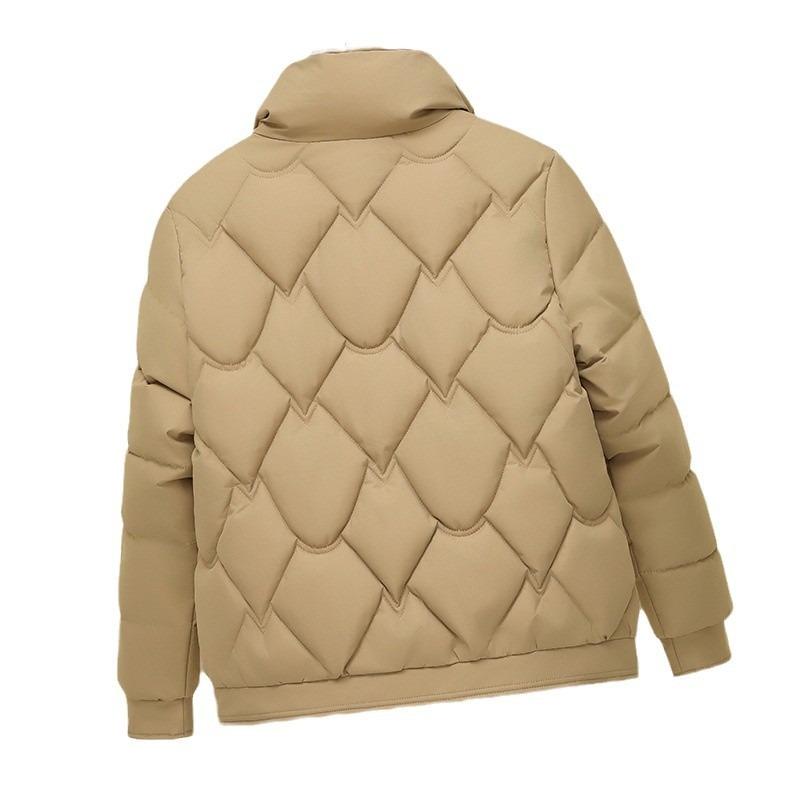 Winter down padded clothes women's casual versatile stand-up collar new small padded jacket thin short padded jacket