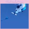 Immense 3d Kite Frameless Soft Parafoil Whale Family Outdoor Sports Toy For Children