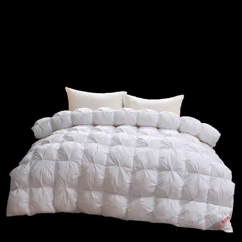 ShuZheng Elegant All-Season Polyester Fiber Quilt