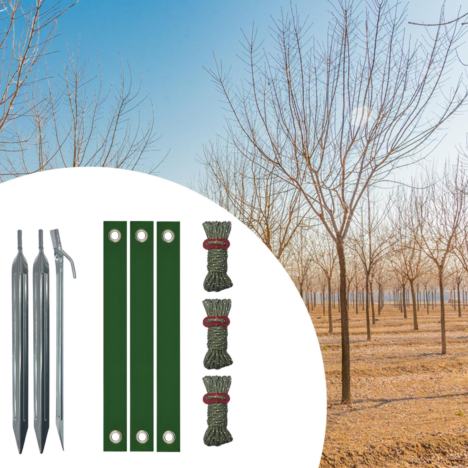 

Комплект прочных кольев для деревьев Колья и опоры Прочные растяжки для подвязывания недавно посаженных саженцев Silvery Stake_Dark Green Rope