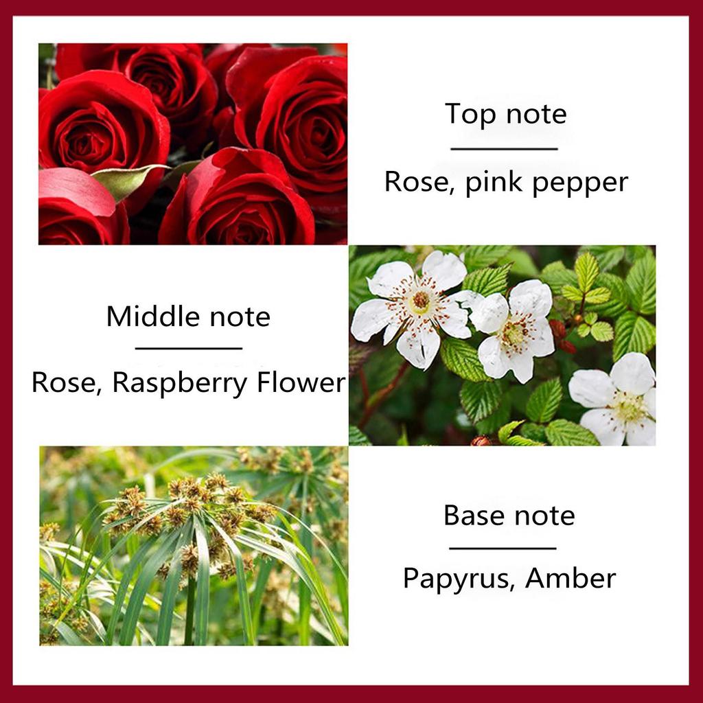 50ml Women’s Rose-Shaped Perfume Bottle Long-Lasting Floral Eau De Parfum with Romantic Scents Elegant Gift & Daily Fragrance