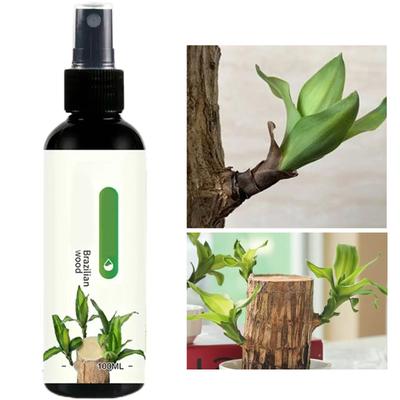 Multifunctional Water Culture Fertilizer Essential Hydroponic Feeding Solution for Brazilian Wood Indoor Gardening