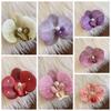 Butterfly Orchid Orchid Flower Hairpin Cloth Girl Hair Clip Cute Flower Hair Clip  Seaside