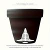 Cone Drainage Mesh Pads 10pcs- Breathable Root Protectors, Prevent Soil Leaks, Reusable for Succulent Pots