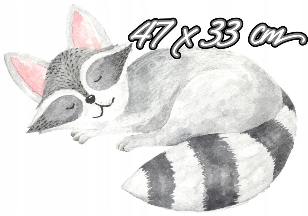 Decorative Sticker For Kids - Raccoon