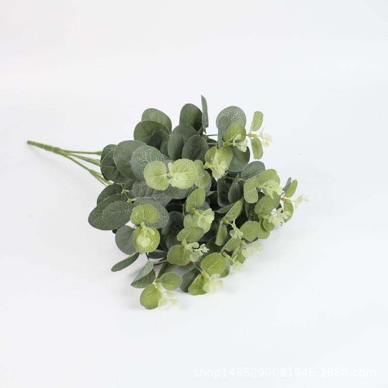Robusta Eucalyptus Simulated Smith Used For Landscape And Wedding Floral Design