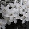 20pcs New Trinket Flower Hairclips Hairpins Headwear Bride Headdress