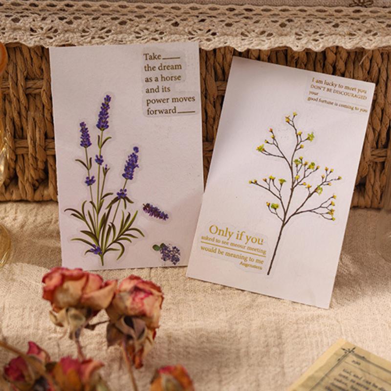 12 Blatt 2 Packungen Transparente PET-Aufkleber Scrapbooking-Materialien DIY Journal Collage Floral Blätter Pflanzen Deko-Aufkleber