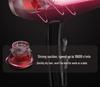 High-Power Salon Hair Dryer with Strong Wind and Negative Ion Care