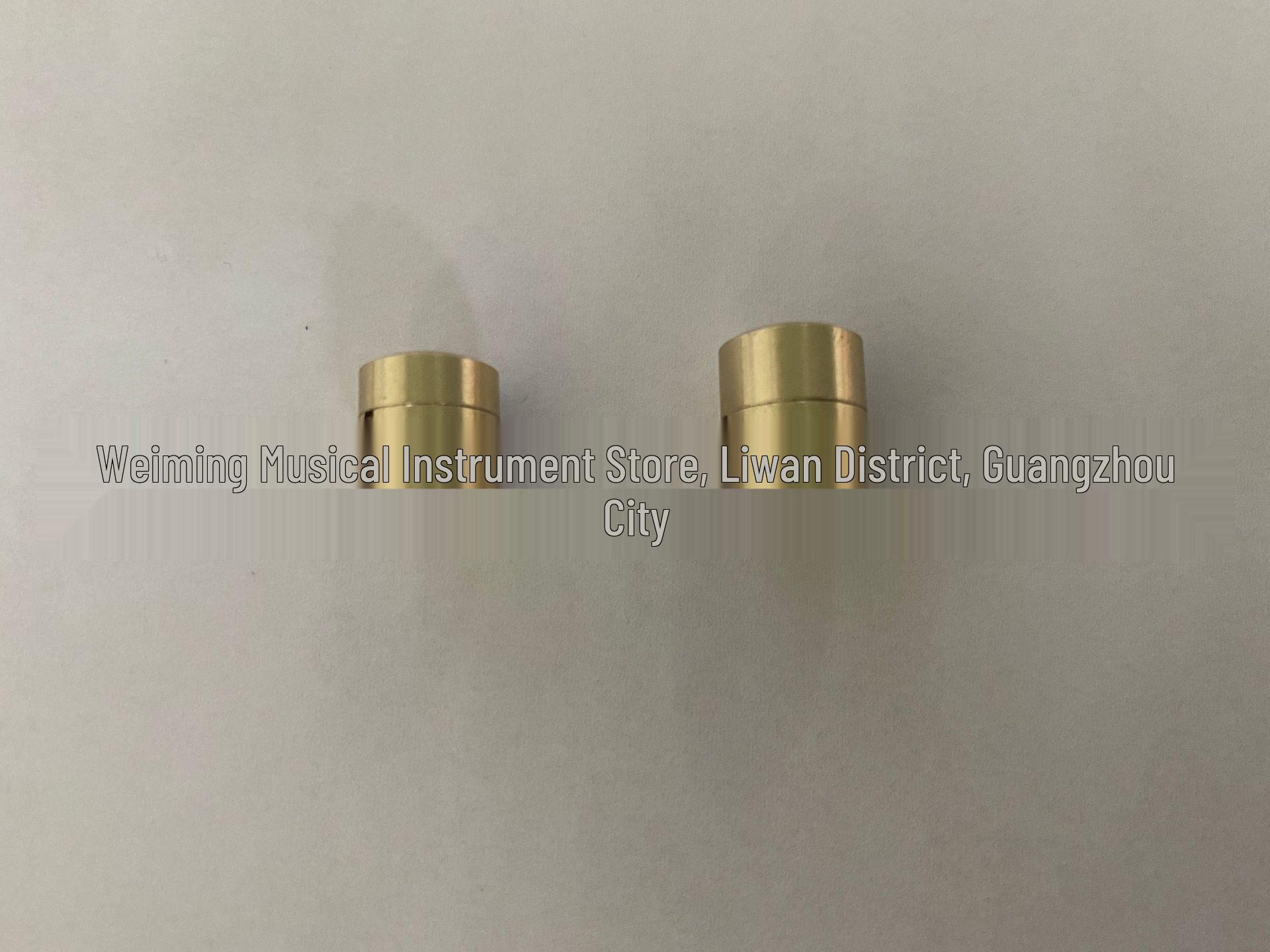 New Style Cylindrical Wolf Mute for Violin, Cello & Brass Violin Wolf Mute