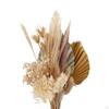 Dried Grass and for Home Decor