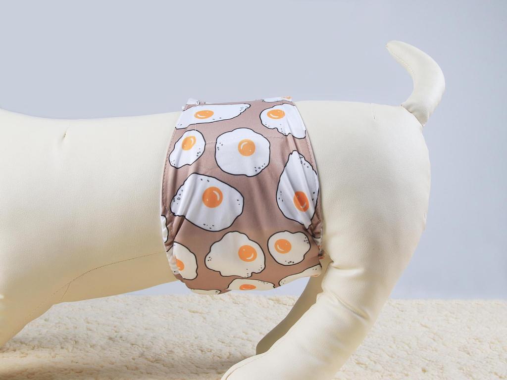 Nuovi Pannolini per Cani Maschi: Lavabile, Assorbente, Disponibile in Vari Colori - Include Cintura e Asciugamano di Cortesia