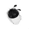 Feather Fascinator with Netting Vintage Design Headpiece Elegant Birdcage