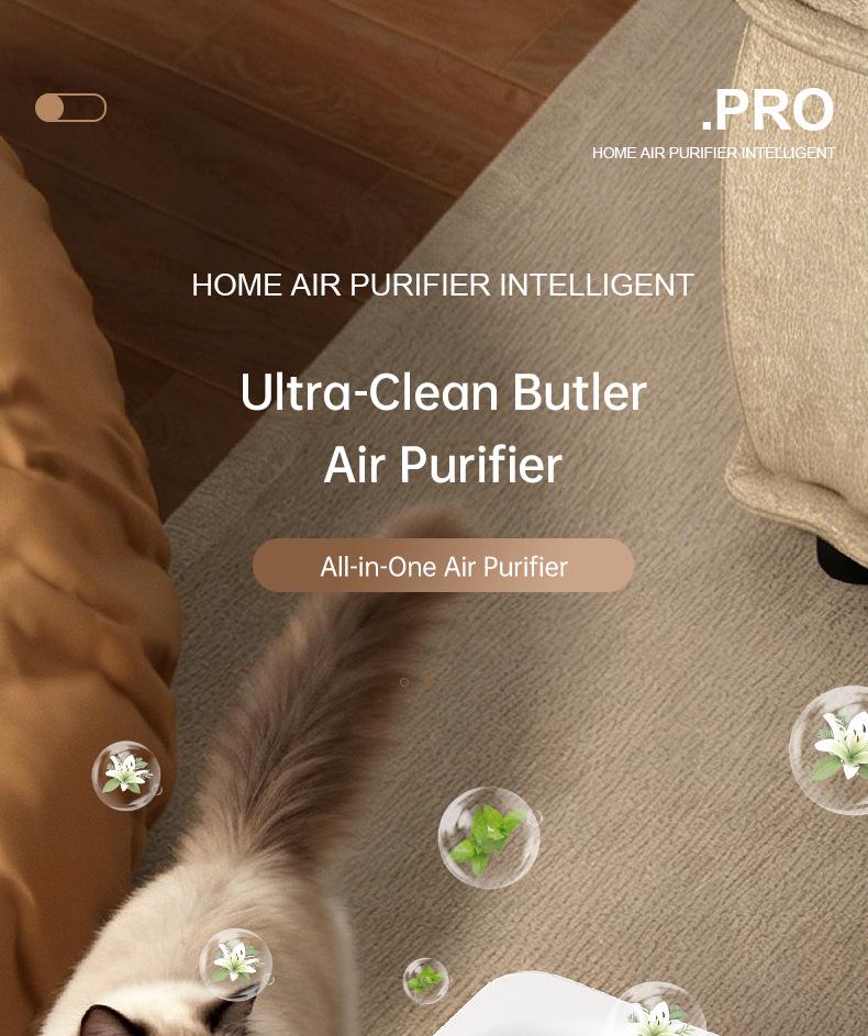 USB Air Purifier with Negative Ion, Formaldehyde and Odor Removal, Indoor Deodorization.